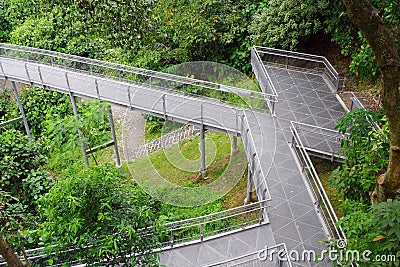 Forest Bridge In Singapore Stock Photo