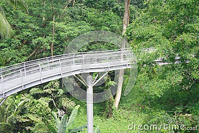 Forest Bridge In Singapore Stock Photo