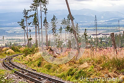 Forest calamity in the High Tatras National Park, Slovakia. Stock Photo