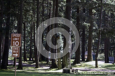 Forest Campgrounds Stock Photo