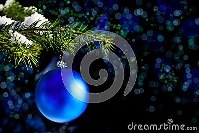 Forest Christmas tree branch with blue ornament Stock Photo