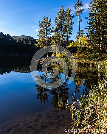 Forest Covered Hills Reflecting on Horsethief Lake Stock Photo