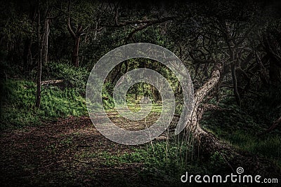 Forest dark gloomy and scary painting Stock Photo