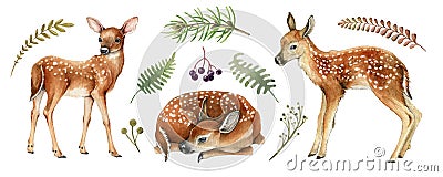 Forest deers. Beautiful fawn image. Watercolor bambi illustration. Wild young deer animal with white back spots, fern Cartoon Illustration