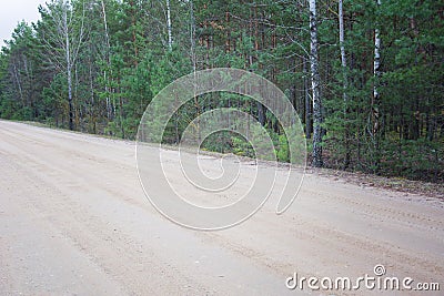 Forest dirt muddy road. Sandy country road in wood Stock Photo