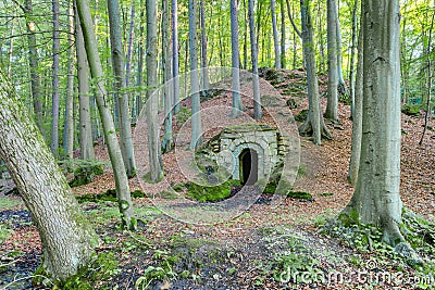 Forest Dungeon Stock Photo