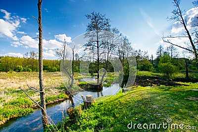 Forest edge near small river in countryside. Blue sky Stock Photo