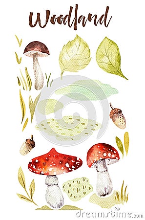 Forest elements witn mushrooms, branches, grassl for kindergarten, isolated illustration for children , pattern Cartoon Illustration