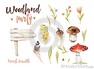 Forest elements witn mushrooms, branches, grassl for kindergarten, isolated illustration for children , pattern Cartoon Illustration