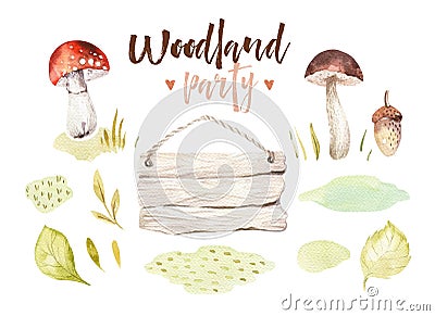 Forest elements witn mushrooms, branches, grassl for kindergarten, isolated illustration for children , pattern Cartoon Illustration