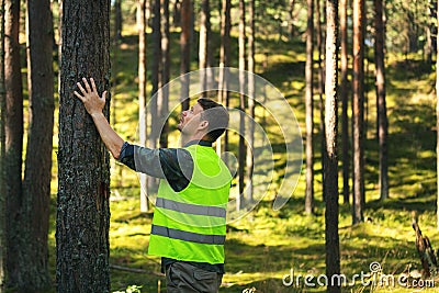 forest engineering and management, renewable resources - forester hecking quality of tree Stock Photo