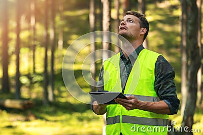 Forest evaluation and management - forestry engineer working with digital tablet Stock Photo