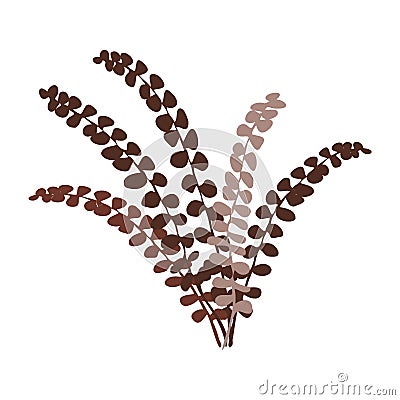 Forest fern Vector Illustration