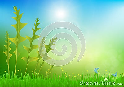 Forest fern in meadow with soft bright bokeh and sunlight, fresh green nature background Vector Illustration