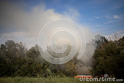 Forest fire. Burnt trees after forest fires, pollution and a lot of smoke Stock Photo
