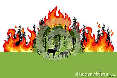 Forest fire. Colorful burning mixed forest and sihouette of deer. Green deciduous and coniferous trees on whit background. Flat Vector Illustration