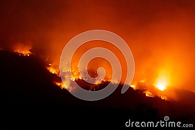 Forest fire disater problem.Fire burns trees in the mountain at night Stock Photo