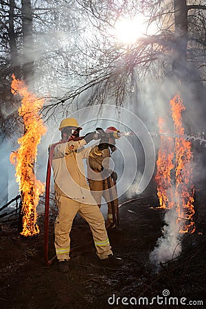 Forest fire extinguishing works. Editorial Stock Photo