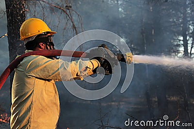 Forest fire extinguishing works. Editorial Stock Photo