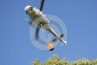 Forest fire fighting helicopter in action Stock Photo