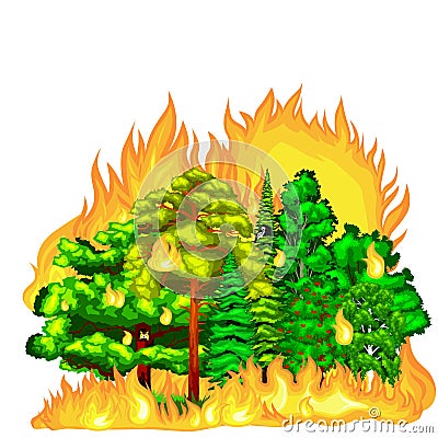 Forest Fire, fire in forest landscape damage, nature ecology disaster, hot burning trees, danger forest fire flame with Vector Illustration