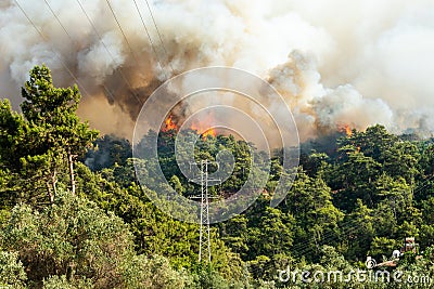 Forest fire in Hisaronu neighbourhood of Marmaris resort town in Turkey Editorial Stock Photo