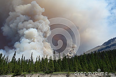 A forest fire in a national park Stock Photo