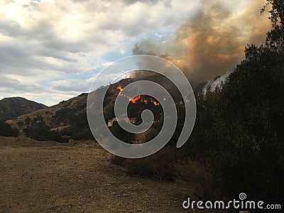 Forest Fire with smoke in California Editorial Stock Photo