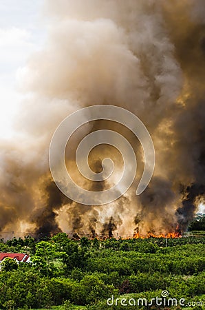 Forest fires in the city on a hot oversupply. Firefighter helped hasten to prevent fire spread to the village. Stock Photo