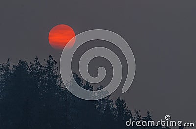 Forest Fires Stock Photo