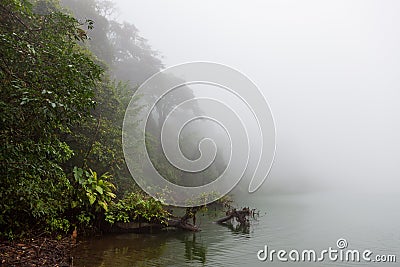 Forest at foggy volcano crater lake Stock Photo