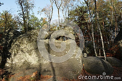 Forest of Fontainebleau, France Stock Photo