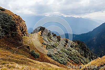 Forest footpath under the sun in himalayas in india Stock Photo