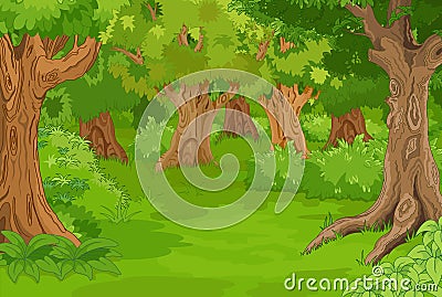 Forest Glade Vector Illustration