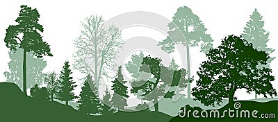Forest green trees silhouette. Nature, park. Vector background Vector Illustration