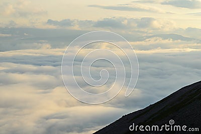 Forest in the Gros Morne Stock Photo