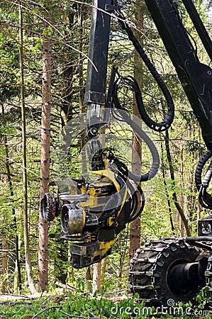 Forest harvester felling head Stock Photo