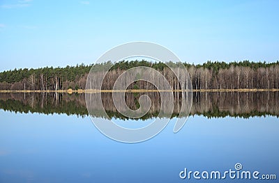 Forest and its reflection in river in spring day Stock Photo