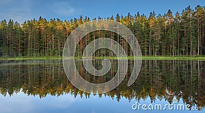 Forest Jousjarvi lake at Sipoonkorpi National Park. Stock Photo