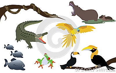 Forest Jungle and River Animals Wildlife Vector Illustration