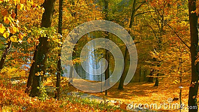 Forest lake in the early autumn in the Central part of poland Stock Photo