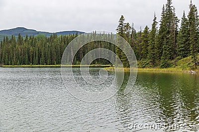 Spruce tree forest, lake and mountains on overcast day Stock Photo