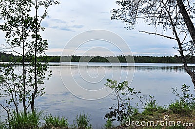 Forest lake in nasty cloudy summer day Stock Photo