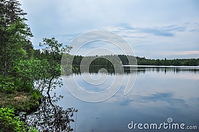 Forest lake in nasty cloudy summer day Stock Photo