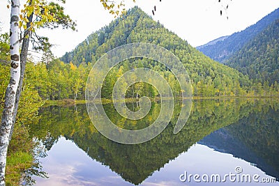 Forest lake smooth as a mirror of water. Stock Photo