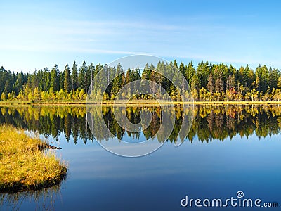 Forest Lake at sunrise morning. Grass and trees reflected in quiet water. Blue sky. Early autumn Stock Photo