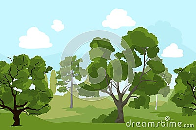 Forest landscape with different green trees and grass. Vector background illustration in cartoon style Vector Illustration