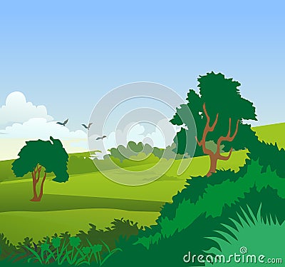 Forest Landscape Vector Illustration