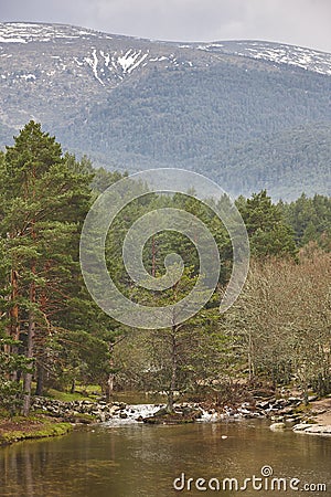 Forest landscape in Madrid. Lozoya river Sierra Guadarrama. RascafrÃ­a Stock Photo