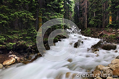 Forest landscape and mountain river in the vicinity of Dombay, Russia Stock Photo